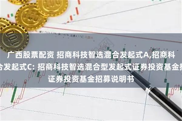 广西股票配资 招商科技智选混合发起式A,招商科技智选混合发起式C: 招商科技智选混合型发起式证券投资基金招募说明书